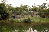 leipzig zoo-01_07_2011_zoo_allgemein_251